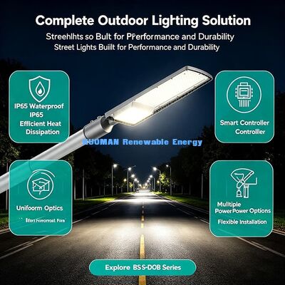 Smart Compatible LED Street Light, Match MPPT Solar Controller for Solar Projects