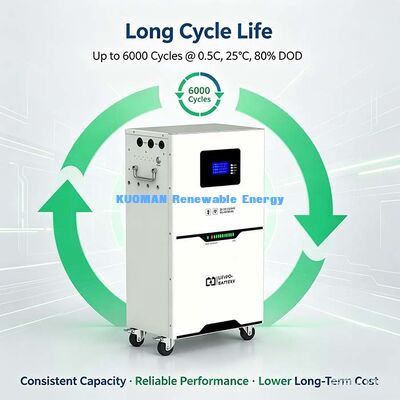 5.12kWh 51.2V LiFePO4 Bateria de armazenamento de energia, design de armário de rodas para fácil movimentação